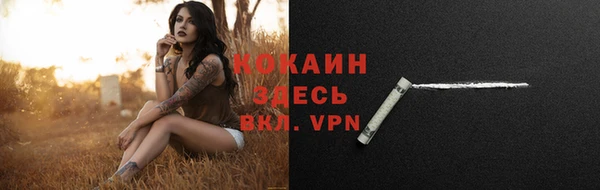ПСИЛОЦИБИНОВЫЕ ГРИБЫ Новокубанск